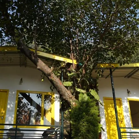 The Hosteller Rishikesh Exterior photo