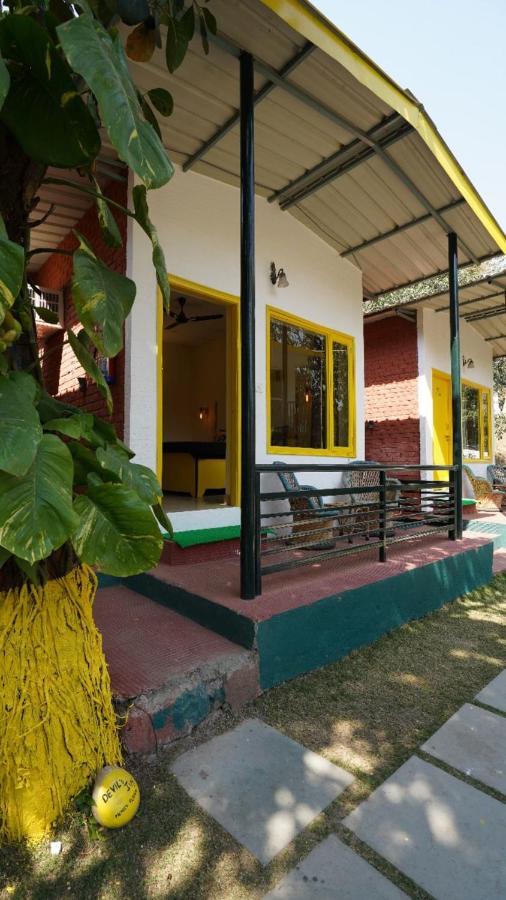 Hostel The Hosteller Rishikesh, Tapovan Rishikesh